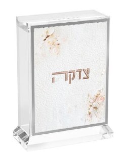 Picture of Lucite Leatherite Tzedakah Box Painted Artwork Blush Rose